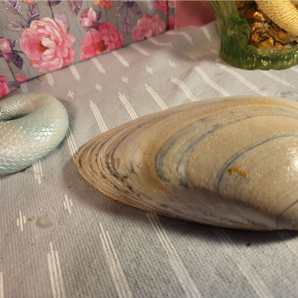 DECOUPAGE CLAM SHELL DECOUPAGE FLOWERS TRINKET DISH - Picture 11 of 11